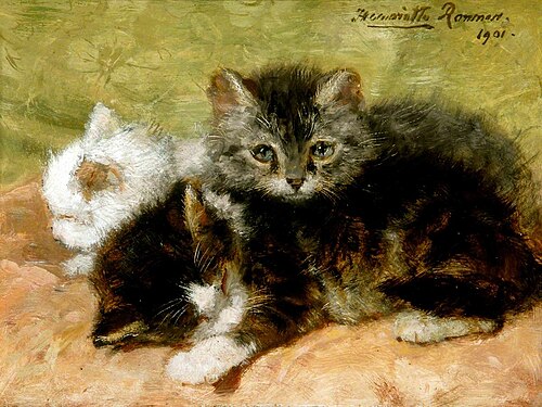 Cat Study, 1901, Henriëtte Ronner-Knip