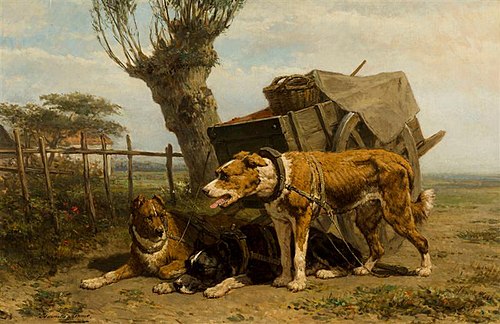 Trekhonden, , Henriëtte Ronner-Knip