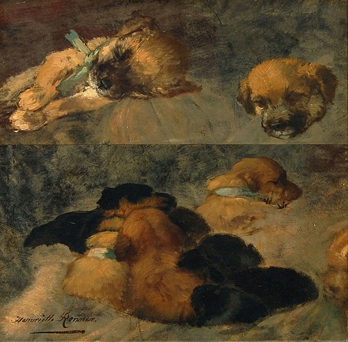 Dog Study, , Henriëtte Ronner-Knip