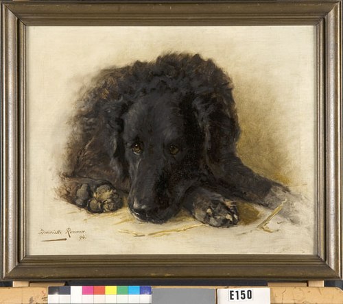 A Black Dog, 1894, Henriëtte Ronner-Knip
