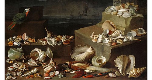Stillleben mit Meeresschnecken und Muscheln, , Jan Davidszoon de Heem