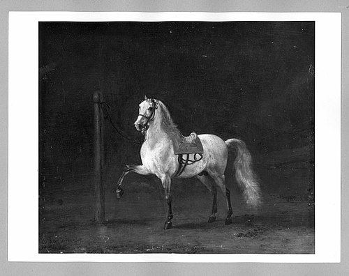 grey horse, 1668, Philips Wouwerman