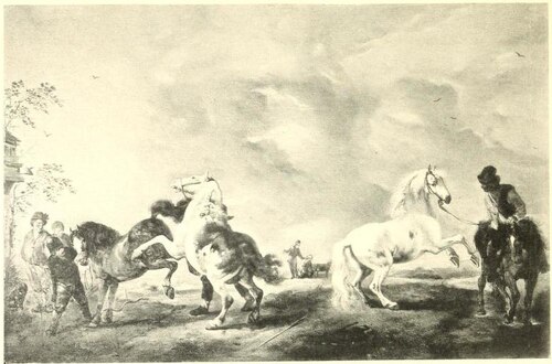 Horses Rearing in an Open Landscape, 1655, Philips Wouwerman