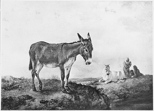 Un Ane dans un paysage, 1665, Philips Wouwerman