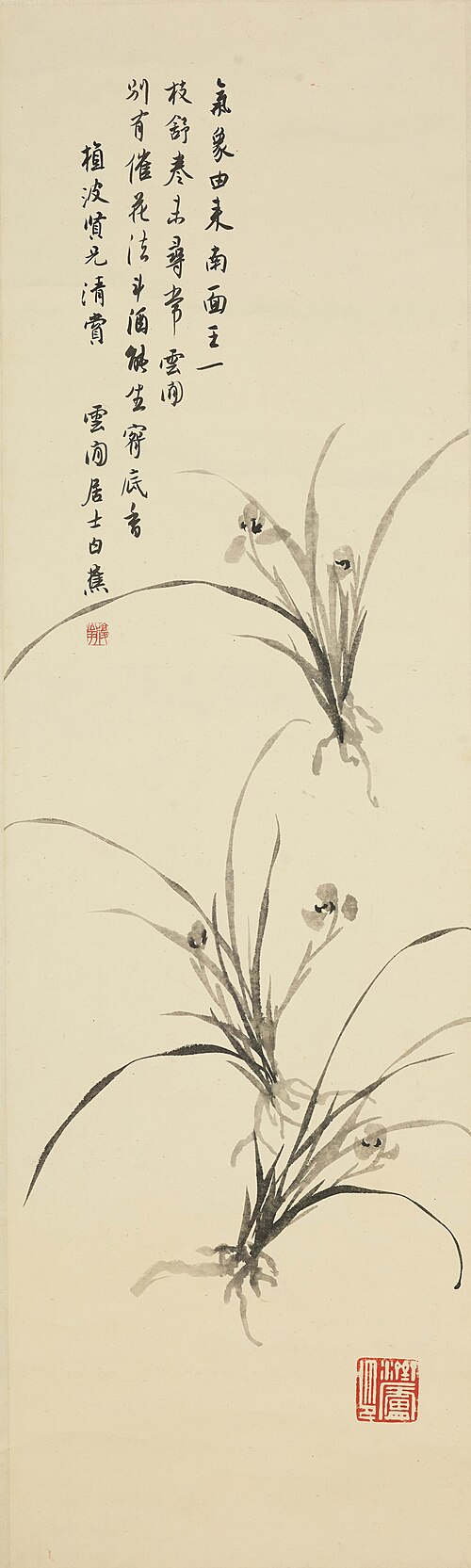 白蕉兰花图轴, , Pai Chiao