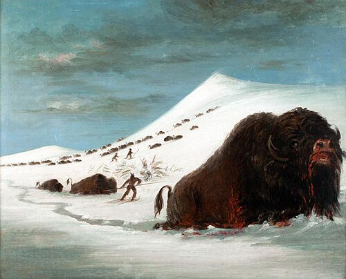 Buffalo Hunt in Snow Shoes, 1844, George Catlin
