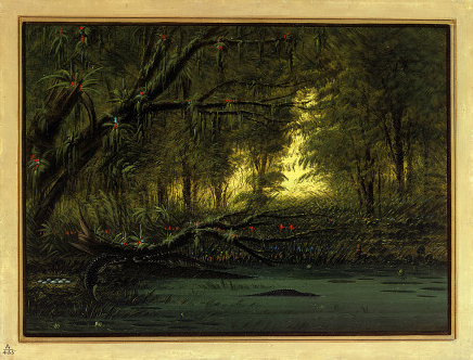 An Alligator's Nest, 1861, George Catlin