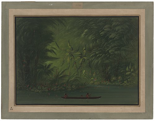 Entrance to a Lagoon, Shore of the Amazon, 1861, George Catlin