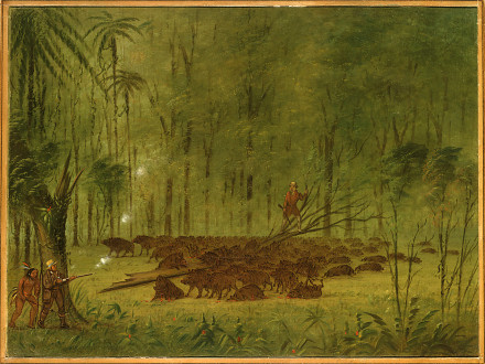 A Fight with Peccaries - Caribbe, 1861, George Catlin
