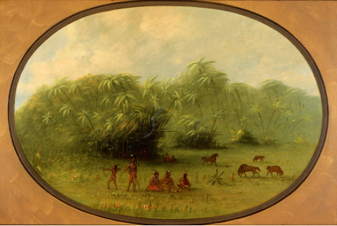 Indians and Horses in the Forest, 1864, George Catlin