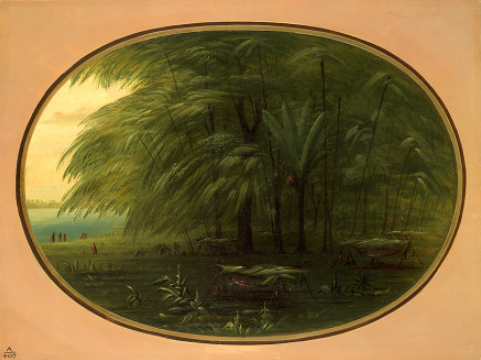 An Indian Village - Shore of the Amazon, 1864, George Catlin