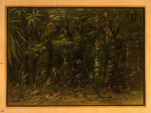 Interior of an Amazon Forest - Zurumati, 1871, George Catlin