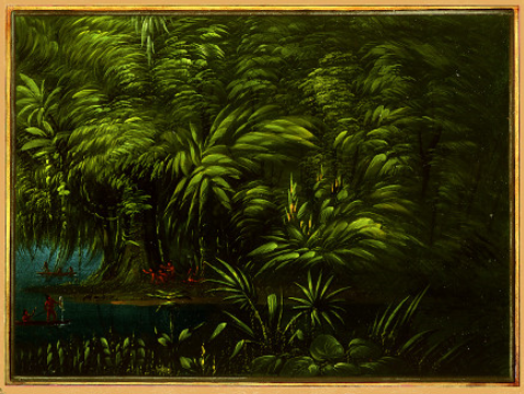 Luxuriant Forest on the Bank of the Amazon, 1869, George Catlin