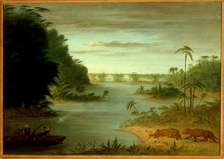 Pont de Palmiers and Tiger Shooting, 1861, George Catlin