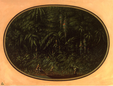 Shore of the Trombetas, 1864, George Catlin