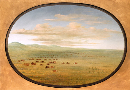 Wild Cattle Grazing on the Pampa del Sacramento, 1868, George Catlin