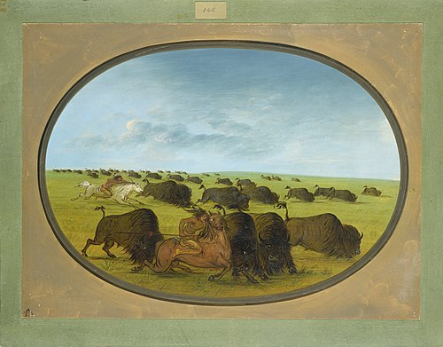 Buffalo Chase, with Accidents, 1861, George Catlin