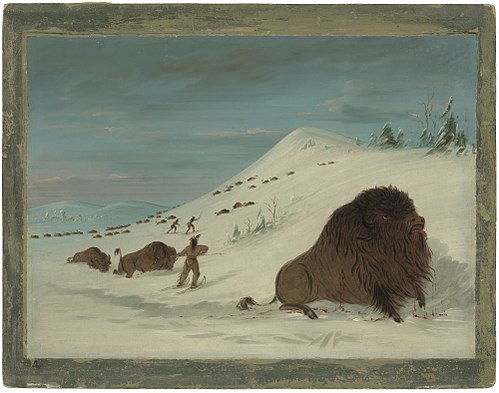 Buffalo Lancing in the Snow Drifts - Sioux, 1861, George Catlin