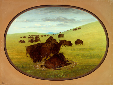 A Buffalo Wallow, 1861, George Catlin