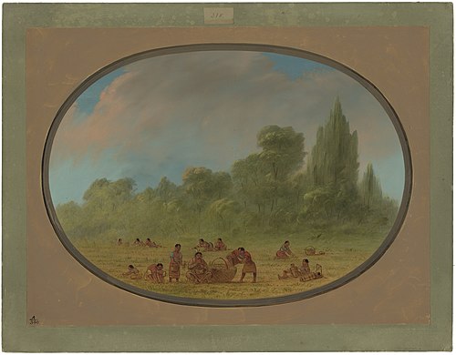Caddoe Indians Gathering Wild Strawberries, 1861, George Catlin