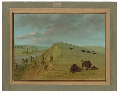 Cedar Bluffs, 1865, George Catlin