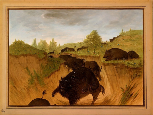 Grizzly Bears Attacking Buffalo, 1861, George Catlin