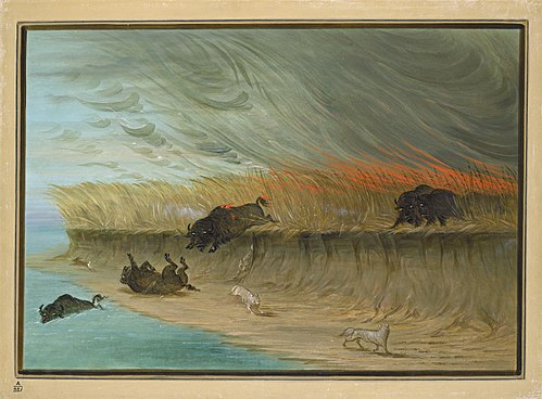 Prairie Meadows Burning, 1861, George Catlin