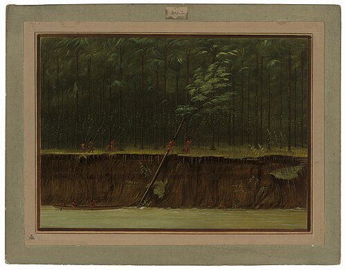 View of the Lower Mississippi, 1865, George Catlin