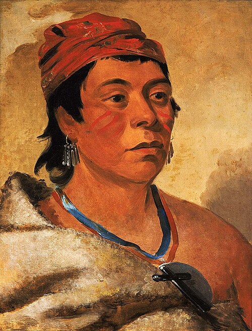Round Island, a Warrior, 1831, George Catlin