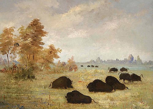 Stalking Buffalo, Arkansas, 1847, George Catlin