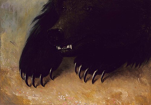 Weapons and Physiognomy of the Grizzly Bear, 1847, George Catlin
