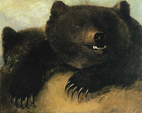 Weapons and Physiognomy of the Grizzly Bear, 1847, George Catlin