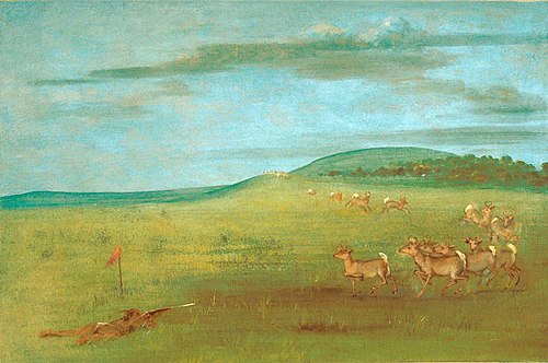 Antelope Shooting, Decoyed Up, 1832, George Catlin