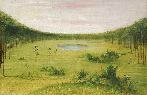 Beautiful Savannah in the Pine Woods of Florida, 1834, George Catlin