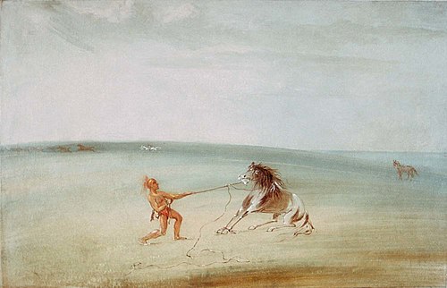 Breaking Down the Wild Horse, 1835, George Catlin