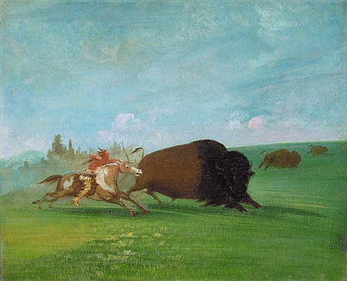 Buffalo Chase, a Single Death, 1832, George Catlin