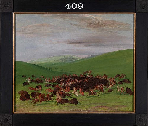 Buffalo Chase, a Surround by the Hidatsa, 1832, George Catlin