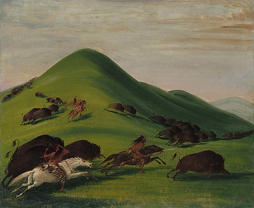 Buffalo Chase over Prairie Bluffs, 1832, George Catlin