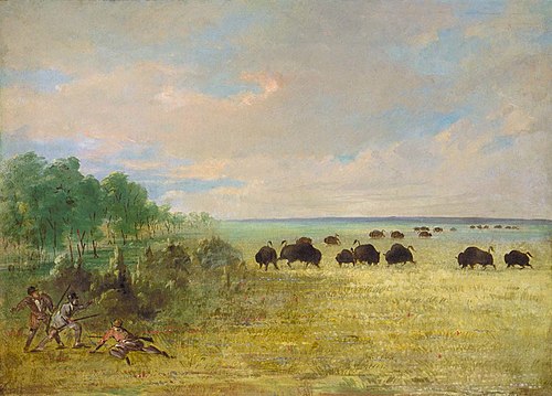 Catlin and Party Stalking Buffalo in Texas, 1847, George Catlin