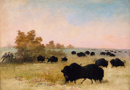Catlin and Party Stalking Buffalo, Upper Missouri, 1847, George Catlin
