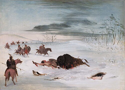 Dying Buffalo Bull in a Snowdrift, 1838, George Catlin