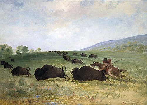 An Osage Indian Lancing a Buffalo, 1847, George Catlin