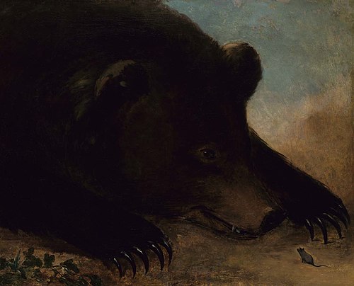 Portraits of a Grizzly Bear and Mouse, Life Size, 1847, George Catlin