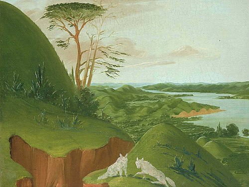 River Bluffs with White Wolves in the Foreground, Upper Missouri, 1832, George Catlin