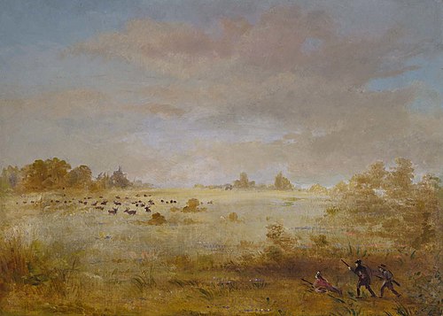 Elk Grazing on an Autumn Prairie, 1847, George Catlin