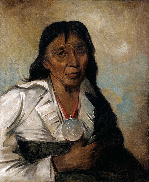 Shin-gós-se-moon, Big Sail, a Chief, , George Catlin