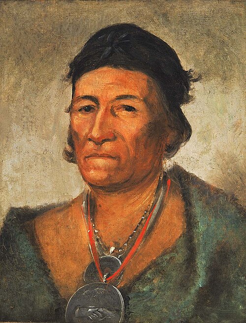 Ko-mán-i-kin, Big Wave, an Old and Distinguished Chief, 1831, George Catlin