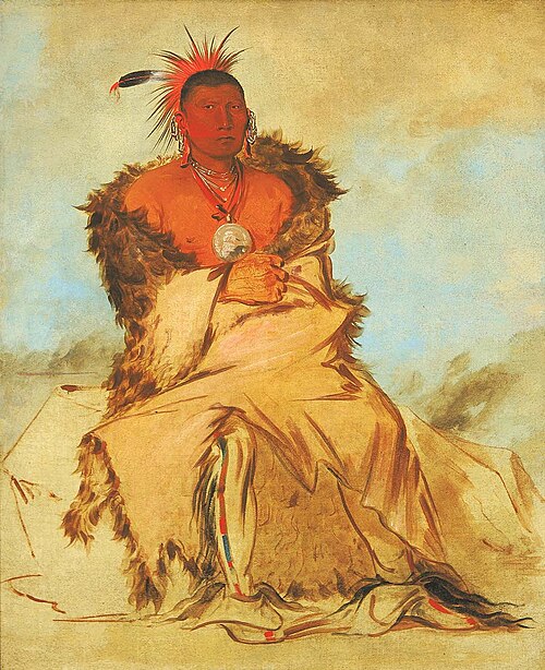 Loo-rá-wée-re-coo, Bird that Goes to War, a Tapage Pawnee, 1832, George Catlin