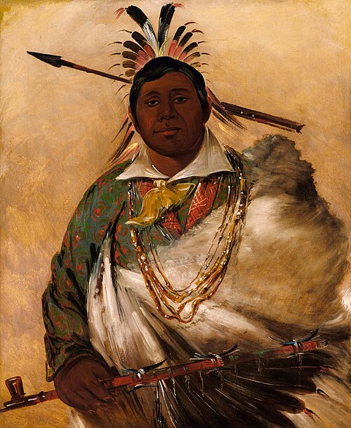 Téh-ke-néh-kee, Black Coat, a Chief, 1834, George Catlin