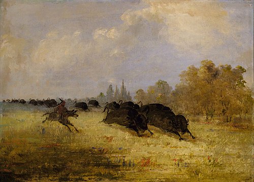Caddo Indians Chasing Buffalo, Cross Timbers, Texas, 1847, George Catlin